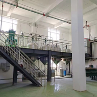 Nieuwe Kant-En-Klare Automatische Palmolieverwerkingsfabriek Met Extractieapparatuur 1000 Kg/u Capaciteit
