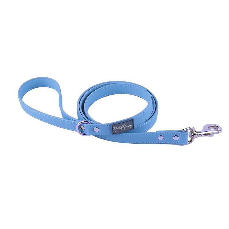 Blue Leash