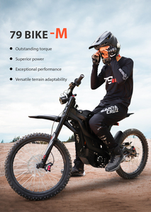 Motocicleta Todoterreno al por Mayor, 79 M, 72V, 35AH, IP67, Capacidad de Carga de 120 kg, 80 km/h - Product Image 4