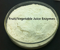 Beste prijs fruit-/groentesap multi-enzym leverancier in China