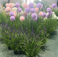 Bunga Hydrangea Buatan Preserved Real Touch, Batang Tinggi, Tahan UV, Tahan Api, Mirip Bunga Asli