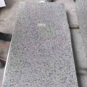 Blue eyes granite slab tile 580*280mm rough granite for exterior floor granite tiles 60x120