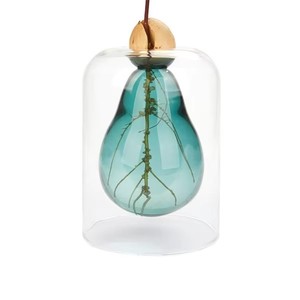 <span class=keywords><strong>Vaso</strong></span> <span class=keywords><strong>in</strong></span> Vetro Semplice Personalizzato all'Ingrosso, Stile Nordico Moderno, <span class=keywords><strong>Vaso</strong></span> <span class=keywords><strong>da</strong></span> Tavolo per Composizioni Floreali Idroponiche - Product Image 6