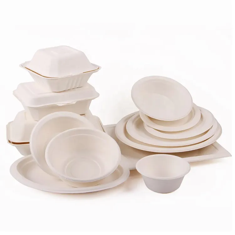 Compostable Paper Plates Disposable Party Dinnerware Set Guests Biodegradable White Natural Paper Plate
