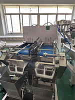 Tête de pesage linéaire automatique à alimentation par bande pour machine de pesage linéaire, destinée aux fruits lyophilisés et aux produits alimentaires secs