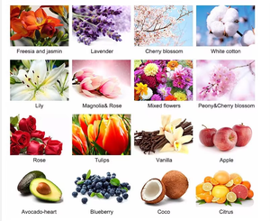 घर, कार और कार्यालय के लिए ग्लास रोलर बॉल में छूट के साथ प्रीमियम 10 मिलीलीटर चाय के पेड़ की जरूरत - Product Image 6