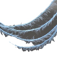 Großhandel 100% Nylon 13NM Fancy Feather Garn 1,3 cm Imitieren Nerz Haargarn zum Stricken und Weben
