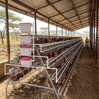 Cage à poules pondeuses en batterie pour 2000 oiseaux, ensemble complet de type A, pour petite ferme, montage facile avec guide vidéo