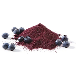 Ekstrak Blueberry 25% Anthocyanindins bubuk Blueberry kualitas tinggi alami - Product Image 4