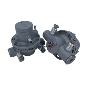 Pompe à membrane pneumatique QDM-CJ601S <span class=keywords><strong>CHANG</strong></span> <span class=keywords><strong>JIANG</strong></span> pour machine à carton - Product Image 6