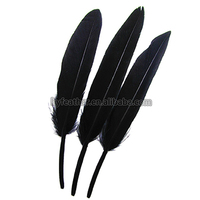 Plume de canard naturelle bleue pour Arts artisanat bricolage coiffure chapeau cheveux Costume accessoire carnaval fête mariage maison Halloween décor