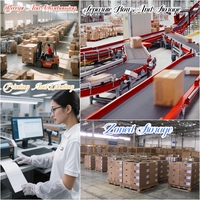 Services de logistique ferroviaire FCL/LCL+Express/Camionnage porte-à-porte DDP DAP les plus rapides/les moins chers vers la Lettonie avec dédouanement double