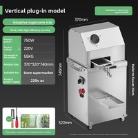 Mini presse à jus de canne à sucre en acier inoxydable, électrique, fonctionnant sur batterie, portable, pour la vente ambulante