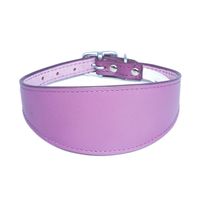 Collier pour chien en cuir véritable, taille réglable, en vert avion, avec anse courte, pour chiot