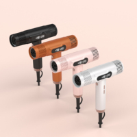Sèche-cheveux multi-styler 5-en-1 professionnel avec moteur BLDC 110000 tr/min, ions négatifs, pour boucler et lisser, idéal pour salon de coiffure (OEM)