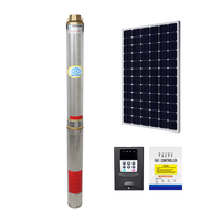 Pompe solaire submersible à économie d'énergie pour puits profond, entièrement en acier inoxydable, résistante à la corrosion, pour l'extraction d'eau de puits