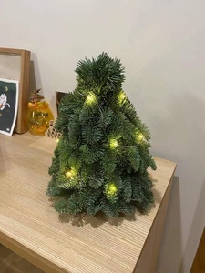 Trang trí gia đình không thấm nước dây đồng chuỗi <span class=keywords><strong>LED</strong></span> cổ tích Ánh sáng ngoài trời - Product Image 5