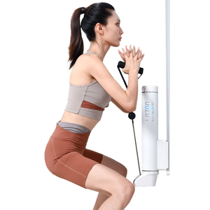 Smart Multi-Functional Adjustable Pull Rowing <b>Machine</b> New Home Gym Exercise Equipment Dip Stands Small Space Fitness Solution LS - Product Image 3