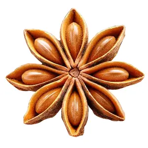 Qingchun Spcies Factory Direct Sales Ground Star Anise Guangxi Yulin Origin Spices Wholesales Star Anise