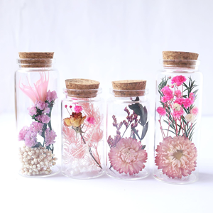 Souvenirs de mariage, fleurs réelles dans un bocal en verre, bouteille à vœux, mini tube à essai avec fleurs séchées <span class=keywords><strong>pour</strong></span> Diwali - Product Image 5