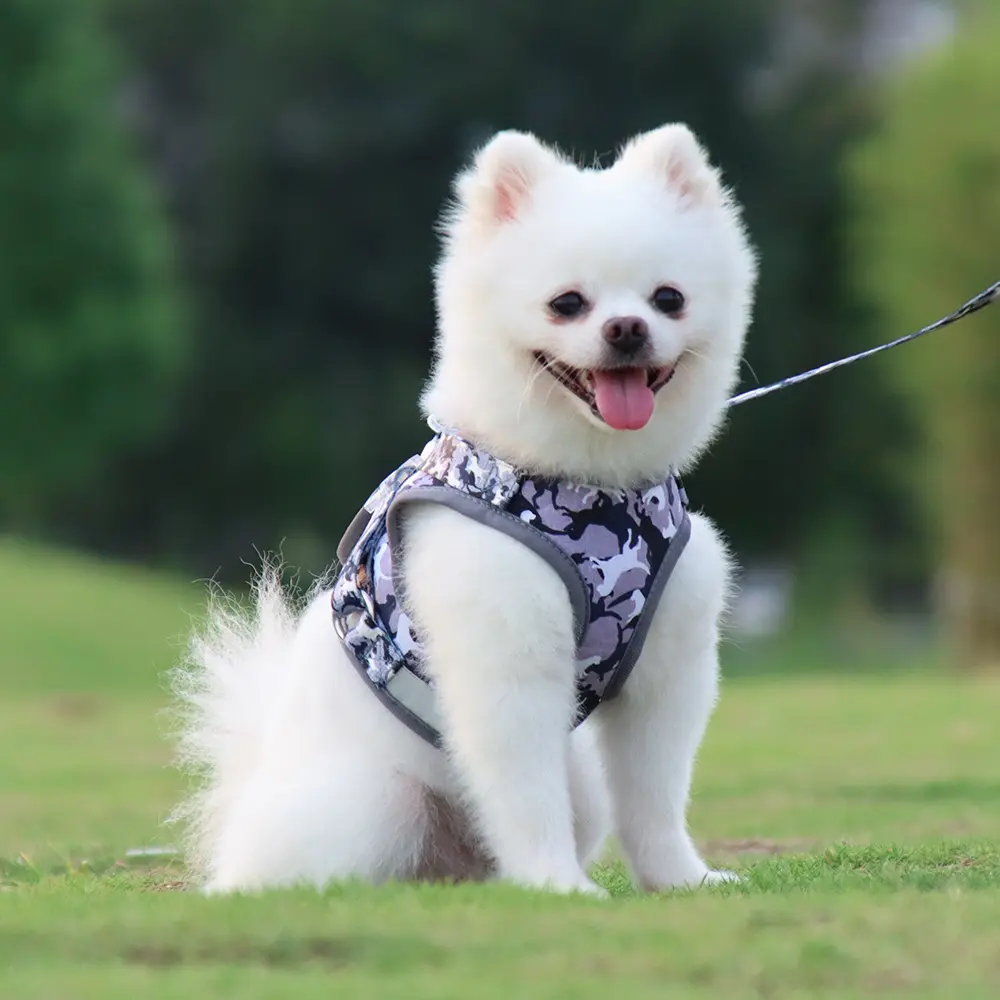 2022 Neues Produkt Benutzer definierte verstellbare Katzen-und Hunde-Tarnmuster Harness Collar Leash Kits Polyester Pet Breath able Chest Strap