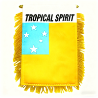 Mini fanions de football brodés personnalisés Drapeaux de club durables de qualité supérieure pour les affichages de trophées de matches universitaires