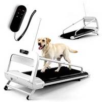 Peralatan Olahraga Treadmill Anjing HOT 2026, Lipat, Indoor & Outdoor