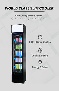 Congélateur <span class=keywords><strong>vertical</strong></span> commercial mince avec porte vitrée pour la présentation de glaces et d'aliments surgelés pour les magasins de détail et les supermarchés - Product Image 3