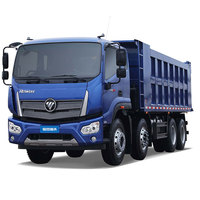 Camion benne Foton d'occasion Camion benne diesel Camion benne 6*4
