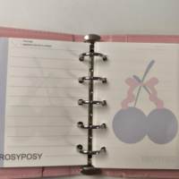 11*12,5cm Großhandel Maßgefertigtes Mini PU-Hardcover Ringbuch Notizbuch Dreifach-Design mit Schleifenverschluss und Druckknopf