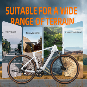 Vélo électrique adulte Y700 250W, vélo de route électrique 36V10.4Ah avec capteur de couple, certifié CE15194, autonomie de 83,2 km - Product Image 5