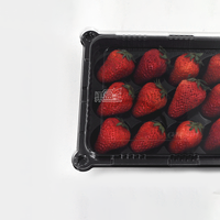 Boîtes d'emballage pour fraises en plastique PET avec séparateurs et mousse