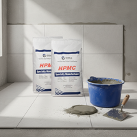 Éther d'hydroxypropylméthylcellulose (HPMC) à prix d'usine pour mortier, ciment, détergent, gypse