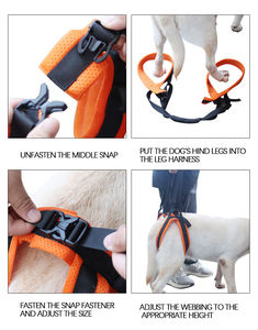 ชุดสายจูงสุนัขแบบพับเก็บได้ชุดสายจูงฝึกสไตล์การ์ตูนแบบเรียบง่ายทำจากโพลีเอสเตอร์ที่ทนทานกระดุมโดยตรง - Product Image 3