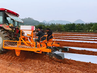 Planteuse de manioc multifonctionnelle : semoir rotatif, labourage, enrobage, fertilisation, paillage, pose de ruban goutte-à-goutte pour l'agriculture