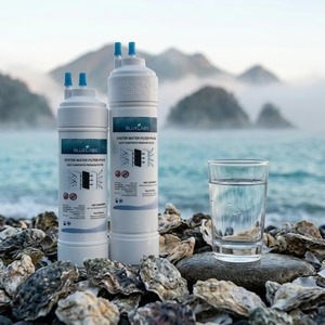 เครื่องกรองน้ำ BLUELABS OYSTER กำจัดสาร PFAS น้ำสะอาดจากก๊อกน้ำ น้ำทะเล น้ำเพื่อสุขภาพ บำบัดน้ำได้อย่างมีประสิทธิภาพ ตัวกรองที่เชื่อถือได้ อายุการใช้งานของตัวกรอง - Product Image 5