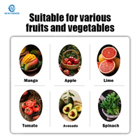 Automatische, hoog-efficiënte fruit- en groentesapcentrifuge met hellende transportband voor commercieel gebruik, waterbestendig