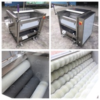 Automatische Dadels Palmreiniging Polijstmachine Borstelrol Droge Datum Wasmachine