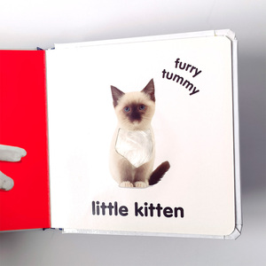 Best-seller jouets éducatifs préscolaires chatons bébé anglais <span class=keywords><strong>livre</strong></span> d'images toucher et sentir <span class=keywords><strong>livre</strong></span> pour enfants - Product Image 5
