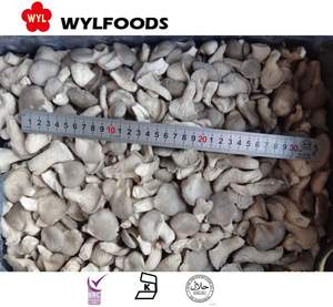 <span class=keywords><strong>IQF</strong></span> fungo di ostrica tagliato a dadini di funghi di ostrica congelati alla rinfusa per il commercio all'ingrosso e al dettaglio - Product Image 3