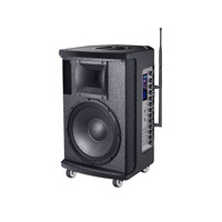 Altavoz Bluetooth portátil profesional con batería recargable, compatible con FM, USB, tarjeta TF, entrada AUX y micrófono