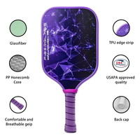 Raquette de pickleball en fibre de verre durable de 16 mm, légère, avec sac de transport en polyester écologique pour débutants, multi-usages