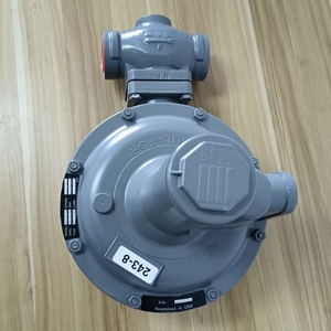 Reductor de Gas 243-8 DC1702-110011000 para SENSUS Stock 243-8 DC1702-110011000 243-8 243-8 DC1702-110011000 - Product Image 3