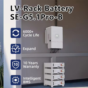 SHENHAUR SH-821 7kWh Zonne-energiesysteem LiFePO4 51.2V 100Ah 5.12kWh Energieopslag Laagspannings Solid State Batterijen 6000 - Product Image 2