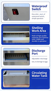 소형 삶은 계란 껍질 벗기는 기계, 계란 껍질 제거 기계, 계란 삶는 기계, 계란 껍질 벗기는 기계 - Product Image 3