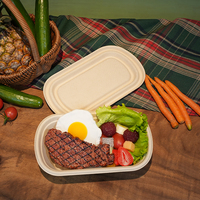 Vente en gros Récipients alimentaires à emporter jetables biodégradables canne à sucre bagasse boîte alimentaire à emporter
