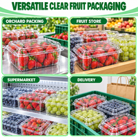 Boîtes à fruits jetables écologiques en PET recyclé transparent – Emballage alimentaire personnalisable