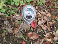 PH/humidité/lumière du sol 3-en-1 Outil d'entretien des plantes Humidimètre du sol pour le jardinage intérieur et extérieur