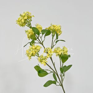 Flor Artificial de Murraya Paniculata, Rama Individual, Seda Blanca, Alta Simulación, Decoración para Bodas y Hogar - Product Image 3