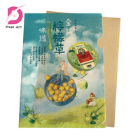 Carpeta de Archivos en Forma de L A4 de Plástico Transparente PP, Fabricada en Shenzhen
